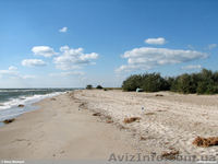 г.Бердянска  marina-vaus@rambler.ru - <ro>Изображение</ro><ru>Изображение</ru> #2, <ru>Объявление</ru> #657292