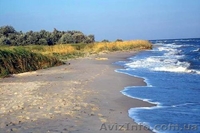 г.Бердянска  marina-vaus@rambler.ru - <ro>Изображение</ro><ru>Изображение</ru> #1, <ru>Объявление</ru> #657292