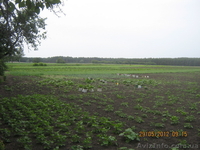 Продается газифицированный дом в селе Мушты Решетиловского района.  - <ro>Изображение</ro><ru>Изображение</ru> #7, <ru>Объявление</ru> #676466