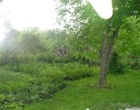 Срочно! Продам дом в Полтавской области, пгт. Опошня - <ro>Изображение</ro><ru>Изображение</ru> #2, <ru>Объявление</ru> #691885