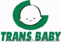 Детские коляски Trans baby. Предложение сотрудничества. Розничная продажа - <ro>Изображение</ro><ru>Изображение</ru> #9, <ru>Объявление</ru> #675767