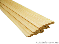 Лиственница сибирская Полтава Украина - <ro>Изображение</ro><ru>Изображение</ru> #1, <ru>Объявление</ru> #153178