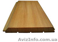 Лиственница сибирская Полтава Украина - <ro>Изображение</ro><ru>Изображение</ru> #5, <ru>Объявление</ru> #153178