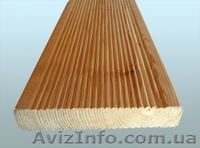 Лиственница сибирская Полтава Украина - <ro>Изображение</ro><ru>Изображение</ru> #3, <ru>Объявление</ru> #153178