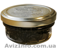 Икра черная рыбы боуфин - <ro>Изображение</ro><ru>Изображение</ru> #4, <ru>Объявление</ru> #741040