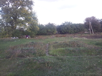 Продам 25 соток над трасой Киев-Харьков с. Цыганское - <ro>Изображение</ro><ru>Изображение</ru> #3, <ru>Объявление</ru> #764251