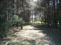 Продам  земельну  ділянку  с.Клюшники - <ro>Изображение</ro><ru>Изображение</ru> #1, <ru>Объявление</ru> #772518