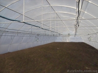 Промышленная Теплица для фермера - <ro>Изображение</ro><ru>Изображение</ru> #1, <ru>Объявление</ru> #869943