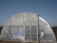 Промышленная Теплица для фермерских хозяйств - <ro>Изображение</ro><ru>Изображение</ru> #2, <ru>Объявление</ru> #879209