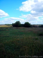 Продам дом в Полтавской обл. - <ro>Изображение</ro><ru>Изображение</ru> #4, <ru>Объявление</ru> #891757