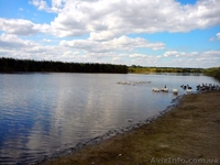 Продам дом в Полтавской обл. - <ro>Изображение</ro><ru>Изображение</ru> #3, <ru>Объявление</ru> #891757