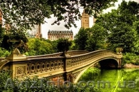 English tutor -учим английский - <ro>Изображение</ro><ru>Изображение</ru> #1, <ru>Объявление</ru> #891915