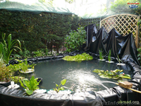 Пленка пвх для пруда купить, продажа пвх пленки - <ro>Изображение</ro><ru>Изображение</ru> #4, <ru>Объявление</ru> #892006