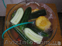 прибор-очиститель для фруктов, овощей, мяса, рыбы и воды - <ro>Изображение</ro><ru>Изображение</ru> #7, <ru>Объявление</ru> #918574