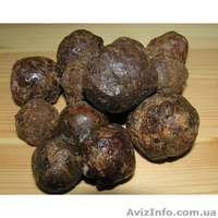 Продам мед и другие продукты пчеловодства со своей пасеки, Полтавская обл. - <ro>Изображение</ro><ru>Изображение</ru> #7, <ru>Объявление</ru> #914412