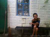 Продаю дом с газом огород сад сараи - <ro>Изображение</ro><ru>Изображение</ru> #1, <ru>Объявление</ru> #962839