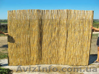 камышовые маты, плиты, евроснопа.Кровельные работы, рогожка, забор из камыша - <ro>Изображение</ro><ru>Изображение</ru> #4, <ru>Объявление</ru> #961268