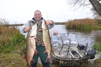 Турбаза Тополь возле с Келеберда - <ro>Изображение</ro><ru>Изображение</ru> #6, <ru>Объявление</ru> #577278