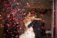 Пневматические хлопушки Полтава Миргород Глобино Лубны Прилуки Пирятин - <ro>Изображение</ro><ru>Изображение</ru> #1, <ru>Объявление</ru> #990857