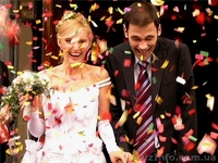 Пневматические хлопушки Полтава Миргород Глобино Лубны Прилуки Пирятин - <ro>Изображение</ro><ru>Изображение</ru> #2, <ru>Объявление</ru> #990857