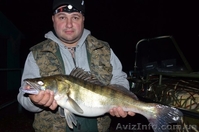 Турбаза Тополь возле с Келеберда - <ro>Изображение</ro><ru>Изображение</ru> #8, <ru>Объявление</ru> #577278