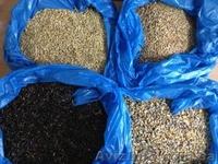 Продается оборудование для комплексной переработки агро-отходов. - <ro>Изображение</ro><ru>Изображение</ru> #4, <ru>Объявление</ru> #1025771