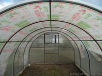 Продажа теплицы из поликарбоната. - <ro>Изображение</ro><ru>Изображение</ru> #3, <ru>Объявление</ru> #1043117