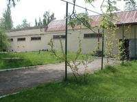 Бизнес по производству муки, макарон - <ro>Изображение</ro><ru>Изображение</ru> #4, <ru>Объявление</ru> #1104930