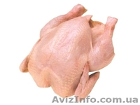 бройлеры живым весом - <ro>Изображение</ro><ru>Изображение</ru> #2, <ru>Объявление</ru> #1136547