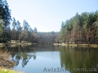 Квартира в живописном хвойном районе Кременчуга - <ro>Изображение</ro><ru>Изображение</ru> #1, <ru>Объявление</ru> #1237674