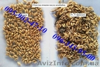 Продам ІСМ-5 сепаратор зерна - <ro>Изображение</ro><ru>Изображение</ru> #7, <ru>Объявление</ru> #1230995