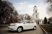 Впечатлитесь Вы и родственники - <ro>Изображение</ro><ru>Изображение</ru> #1, <ru>Объявление</ru> #1263040