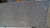 Плитка Гранитная Термообработанная - <ro>Изображение</ro><ru>Изображение</ru> #1, <ru>Объявление</ru> #1107114