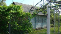 Продам дачу на Воронино (г.Полтава) - <ro>Изображение</ro><ru>Изображение</ru> #1, <ru>Объявление</ru> #1457408