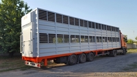 Полуприцеп, для перевозки животных .Кременчуг - <ro>Изображение</ro><ru>Изображение</ru> #3, <ru>Объявление</ru> #1469496