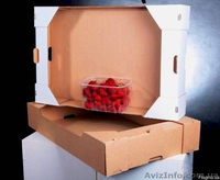 лоток под клубнику,малину,черешню,персик,сливу,виноград - <ro>Изображение</ro><ru>Изображение</ru> #4, <ru>Объявление</ru> #1538550