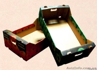 Картонная упаковка под клубнику - <ro>Изображение</ro><ru>Изображение</ru> #4, <ru>Объявление</ru> #1538534