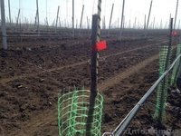 Стеклопластиковая арматура по технологии Армастек. - <ro>Изображение</ro><ru>Изображение</ru> #2, <ru>Объявление</ru> #1551975