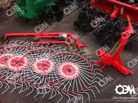 Грабли-ворошилки Солнышко на 5 колец: - <ro>Изображение</ro><ru>Изображение</ru> #3, <ru>Объявление</ru> #1566548