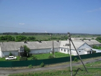 Продам птицеферму. - <ro>Изображение</ro><ru>Изображение</ru> #1, <ru>Объявление</ru> #1592839