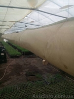 Отопление теплиц, сушильных камер - <ro>Изображение</ro><ru>Изображение</ru> #1, <ru>Объявление</ru> #1510043