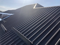 Кровельные работы любой сложности, Покрівельні роботи будь-якої складності  - <ro>Изображение</ro><ru>Изображение</ru> #1, <ru>Объявление</ru> #1724976