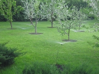 Автоматичні системи поливу З РОЗУМОМ - <ro>Изображение</ro><ru>Изображение</ru> #1, <ru>Объявление</ru> #1747407