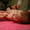 Квалифицированный массаж в Полтаве - <ro>Изображение</ro><ru>Изображение</ru> #2, <ru>Объявление</ru> #6379