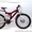 Продам  подростковый  велосипед Полтава - <ro>Изображение</ro><ru>Изображение</ru> #2, <ru>Объявление</ru> #207852
