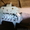 Зерноочистительная машина ПЕТКУС "Гигант" К-531 - <ro>Изображение</ro><ru>Изображение</ru> #1, <ru>Объявление</ru> #324643