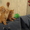 котята в гарні руки - <ro>Изображение</ro><ru>Изображение</ru> #1, <ru>Объявление</ru> #511844