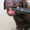 Лабрадор ретривер щенки на продажу #472817
