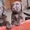 Лабрадор ретривер щенки на продажу - <ro>Изображение</ro><ru>Изображение</ru> #2, <ru>Объявление</ru> #472817
