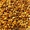Продам мед и другие продукты пчеловодства со своей пасеки, Полтавская обл. - <ro>Изображение</ro><ru>Изображение</ru> #4, <ru>Объявление</ru> #914412